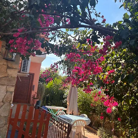 בית נופש Lelu' וילסימיוס