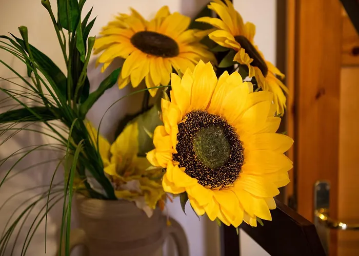 Lelu' וילסימיוס